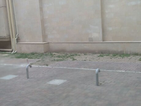 Obyekt - Sahil m. - 860 m²