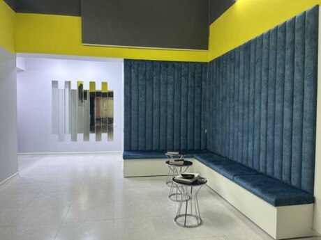 5 otaqlı ofis - 28 May m. - 220 m²