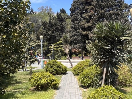 Obyekt - Azadlıq Prospekti m. - 326 m²
