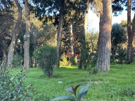 2 otaqlı köhnə tikili - Elmlər Akademiyası m. - 60 m²