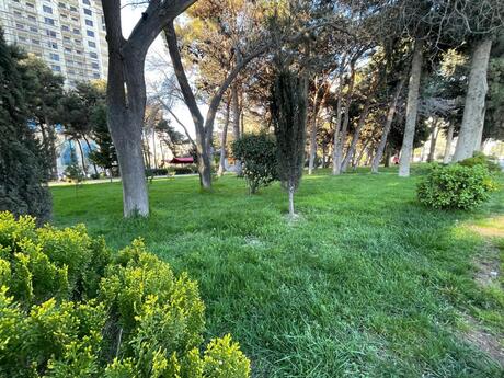 2 otaqlı köhnə tikili - Elmlər Akademiyası m. - 60 m²