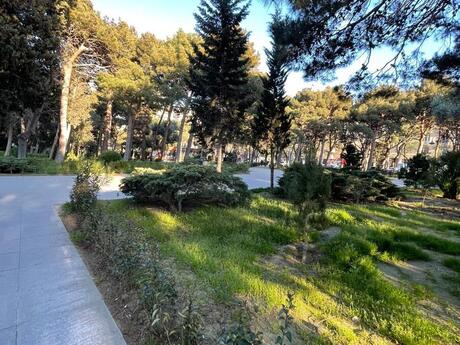 2 otaqlı köhnə tikili - Elmlər Akademiyası m. - 60 m²