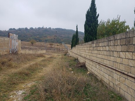 Torpaq - Şamaxı - 30 sot