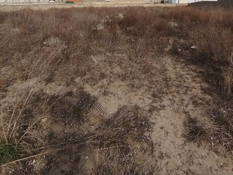 Участок - пос. Нардаран - 24 сот