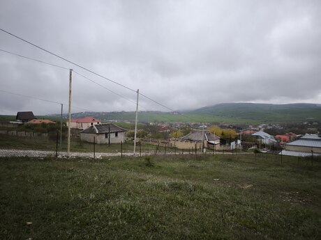 Torpaq - Şamaxı - 12 sot