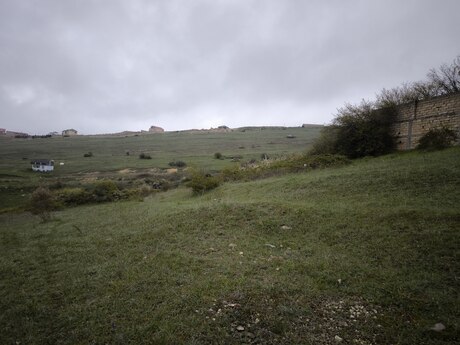 Torpaq - Şamaxı - 12 sot