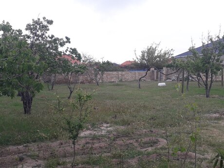 Torpaq - Pirşağı q. - 8 sot