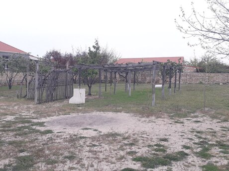 Torpaq - Pirşağı q. - 8 sot