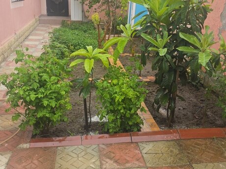 3 otaqlı həyət evi/bağ evi - Bakıxanov q. - 70 m²