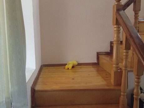 4 otaqlı həyət evi/bağ evi - Əhmədli m. - 100 m²