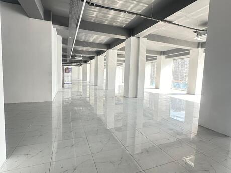 Obyekt - Sahil m. - 1000 m²