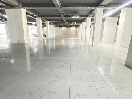 Obyekt - Sahil m. - 1000 m²