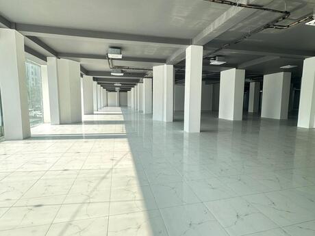 Obyekt - Sahil m. - 1000 m²