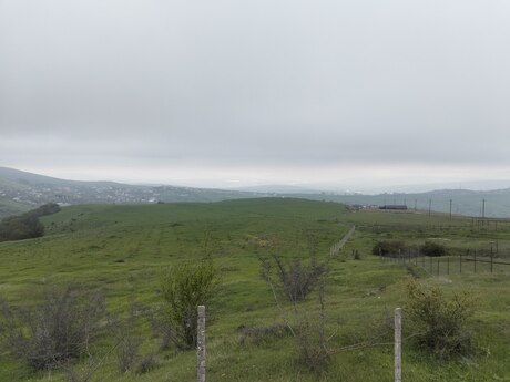 Torpaq - Şamaxı - 200 sot