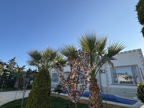 6 otaqlı həyət evi/bağ evi - Şüvəlan q. - 285 m²
