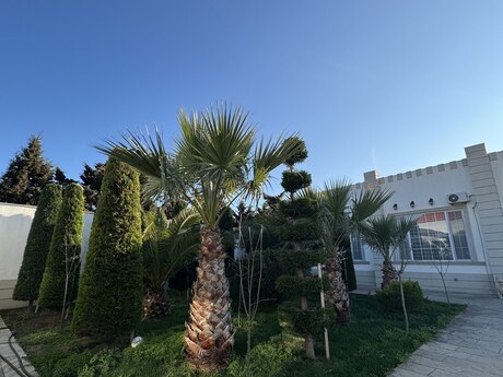 6 otaqlı həyət evi/bağ evi - Şüvəlan q. - 285 m²