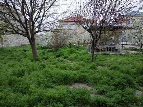 Torpaq - Qara Qarayev m. - 30 sot