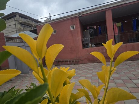 3 otaqlı həyət evi/bağ evi - Xırdalan - 135 m²