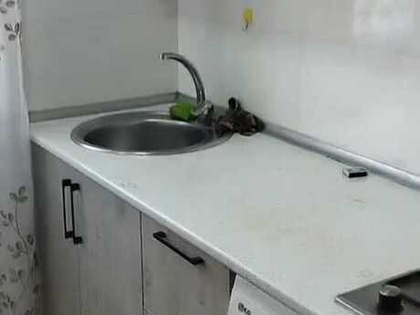 2 otaqlı köhnə tikili - Elmlər Akademiyası m. - 40 m²