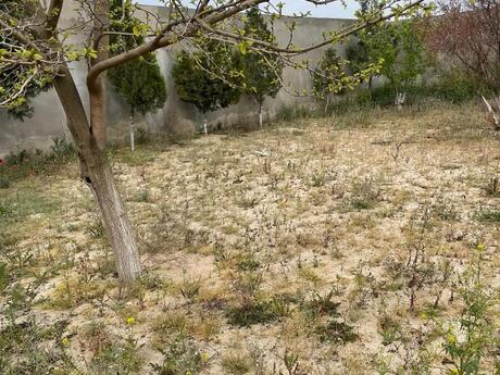 6 otaqlı həyət evi/bağ evi - Novxanı q. - 250 m²