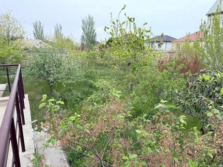 6 otaqlı həyət evi/bağ evi - Sumqayıt - 265 m²