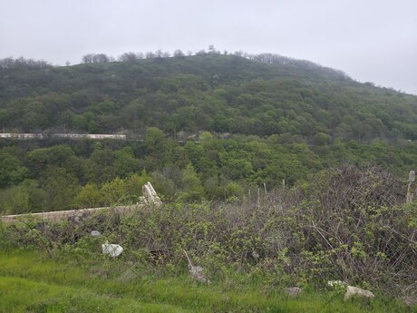 Torpaq - Şamaxı - 12 sot