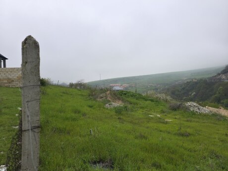 Torpaq - Şamaxı - 12 sot