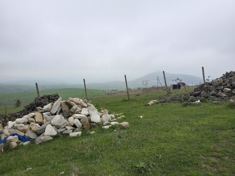 Torpaq - Şamaxı - 12 sot