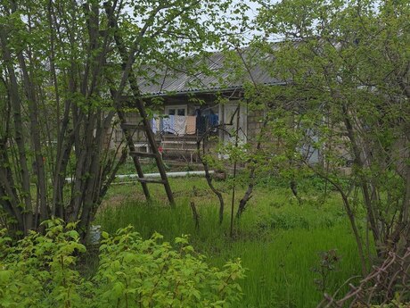 4 otaqlı həyət evi/bağ evi - Şamaxı - 90 m²