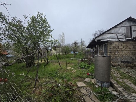 4 otaqlı həyət evi/bağ evi - Şamaxı - 90 m²