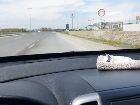 Torpaq - Qala q. - 3.5 sot