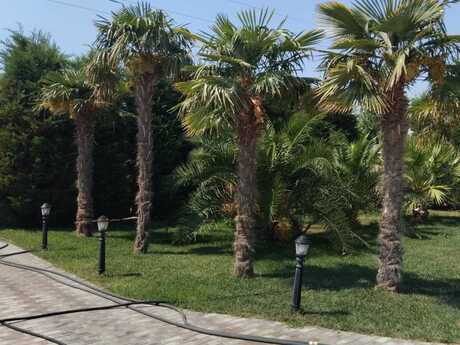 4 otaqlı həyət evi/bağ evi - Türkan q. - 250 m²