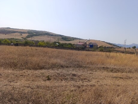 Torpaq - Şamaxı - 6 sot