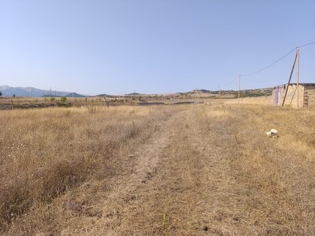 Torpaq - Şamaxı - 6 sot