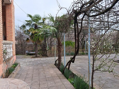 7 otaqlı həyət evi/bağ evi - Lənkəran - 318.8 m²
