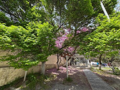 4 otaqlı köhnə tikili - Badamdar q. - 127.7 m²