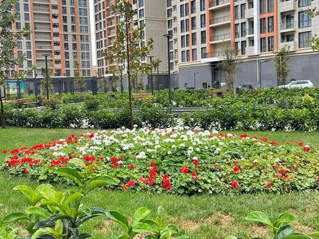 Elan №6096817 - Bakı, Yeni Yasamal q., 3 otaqlı, 72.5 m², 6/16 mərtəbə