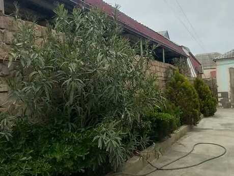 3 otaqlı həyət evi/bağ evi - Biləcəri q. - 80 m²