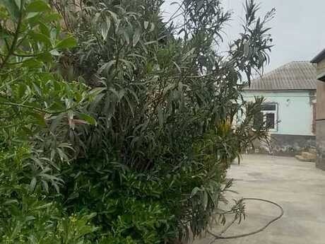 3 otaqlı həyət evi/bağ evi - Biləcəri q. - 80 m²