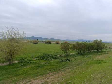 Torpaq - Ağstafa - 55 sot