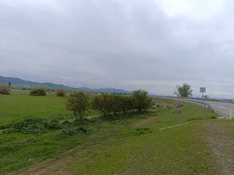 Torpaq - Ağstafa - 55 sot