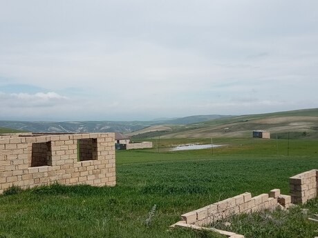 Torpaq - Şamaxı - 12 sot