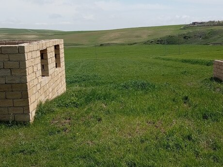 Torpaq - Şamaxı - 12 sot