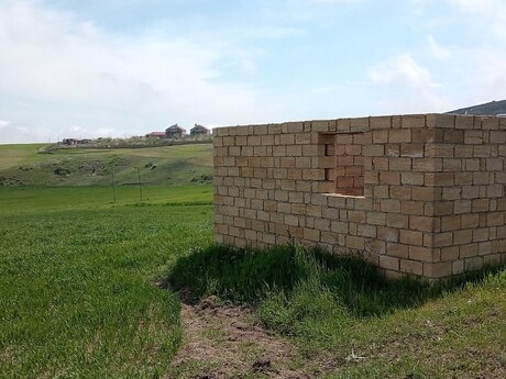 Torpaq - Şamaxı - 12 sot