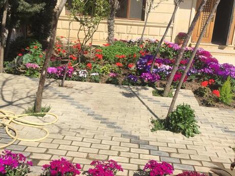 5 otaqlı həyət evi/bağ evi - Badamdar q. - 800 m²