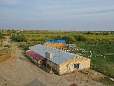 Obyekt - Quba - 20000 m²