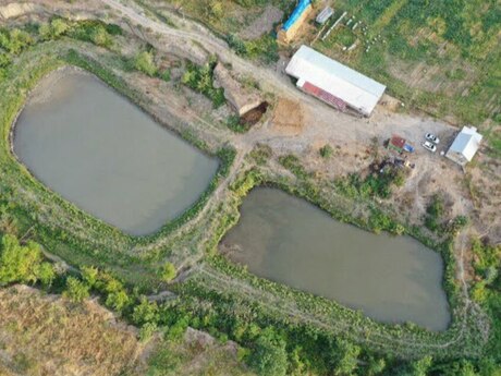 Obyekt - Quba - 20000 m²