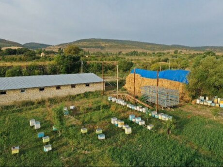 Obyekt - Quba - 20000 m²