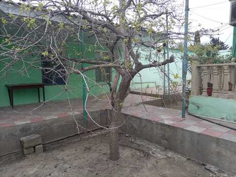 5 otaqlı həyət evi/bağ evi - Maştağa q. - 170 m²