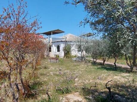 4 otaqlı həyət evi/bağ evi - Abşeron r. - 100 m²